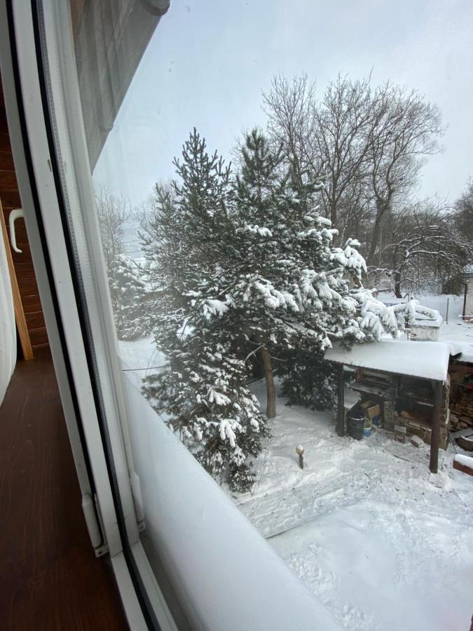Guest House Shulc Mizhhirya  Esterno foto